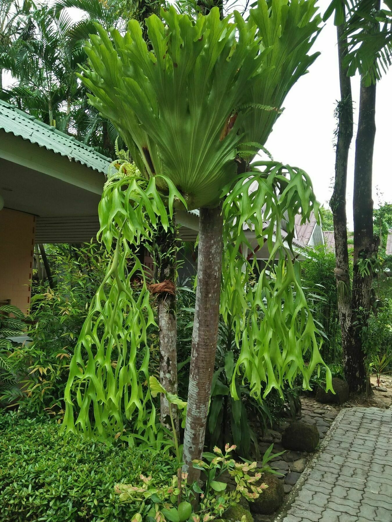 Khaolak Tusneem Resort Khao Lak Extérieur photo